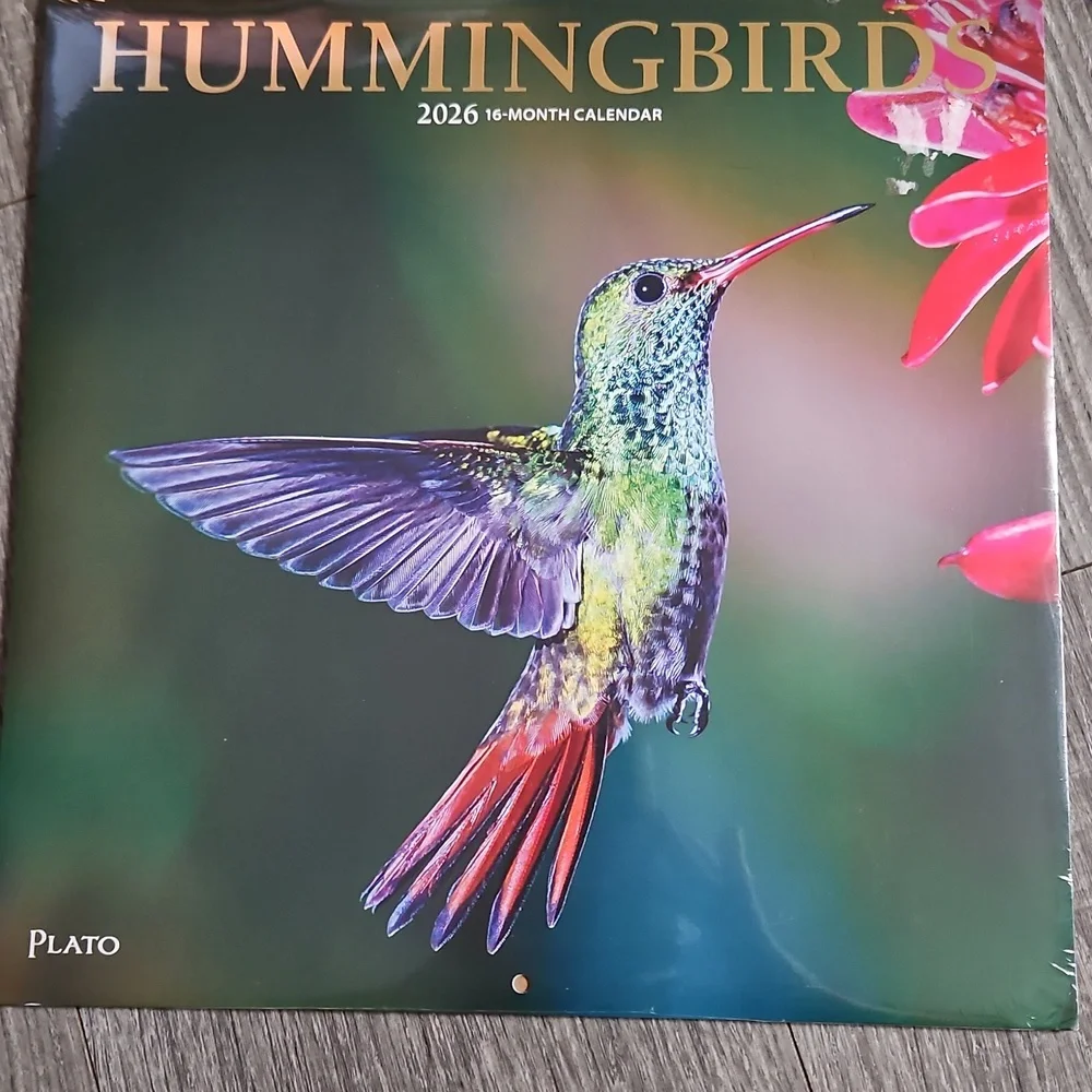2026 Beautiful Pink Puppies Hummingbirds Wildflowers Pictures Calender Lot